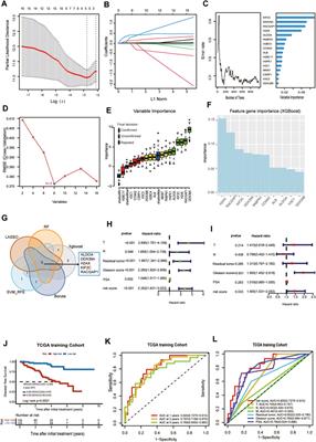 Constructing lactylation-related genes prognostic model to effectively predict the disease-free survival and treatment responsiveness in prostate cancer based on machine learning